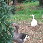 Git'an Perigord La Bonne Aventure Kamp alanı Groléjac