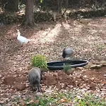 Κάμπινγκ Git'an Perigord La Bonne Aventure *