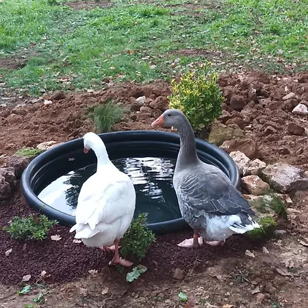 Git'an Perigord La Bonne Aventure * Groléjac