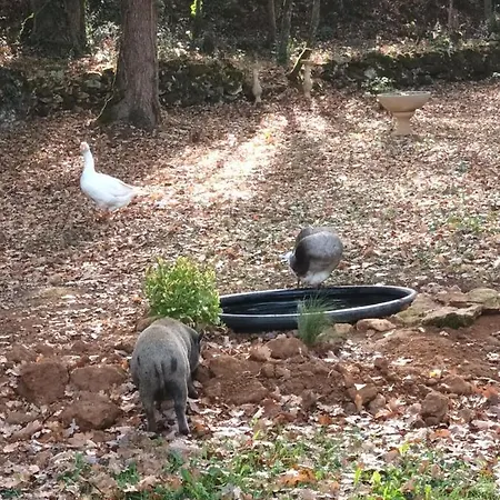 Kemping Git'an Perigord La Bonne Aventure *