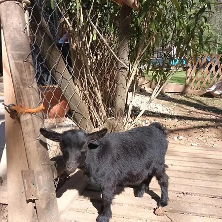 Git'an Perigord La Bonne Aventure Kemping Groléjac