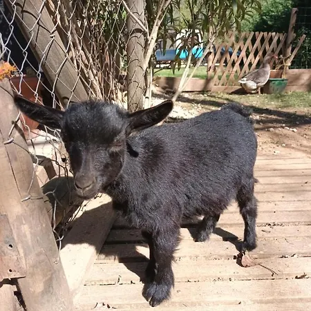 Git'an Perigord La Bonne Aventure 캠프장 Groléjac