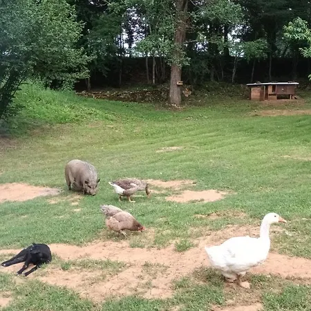 Git'an Perigord La Bonne Aventure Campsite Grolejac