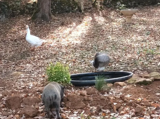 Parque de Campismo Git'an Perigord La Bonne Aventure *