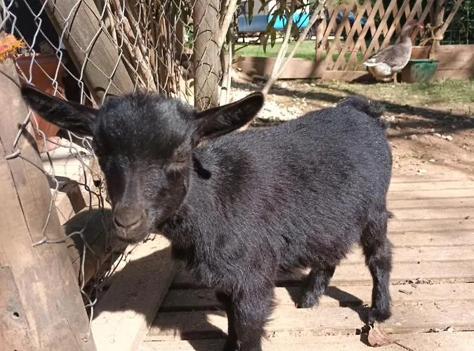 Git'an Perigord La Bonne Aventure Parque de Campismo Groléjac