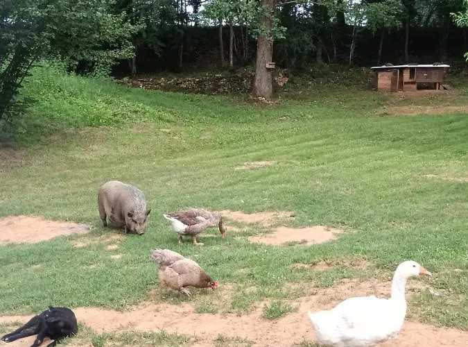 Git'an Perigord La Bonne Aventure Parque de Campismo Groléjac
